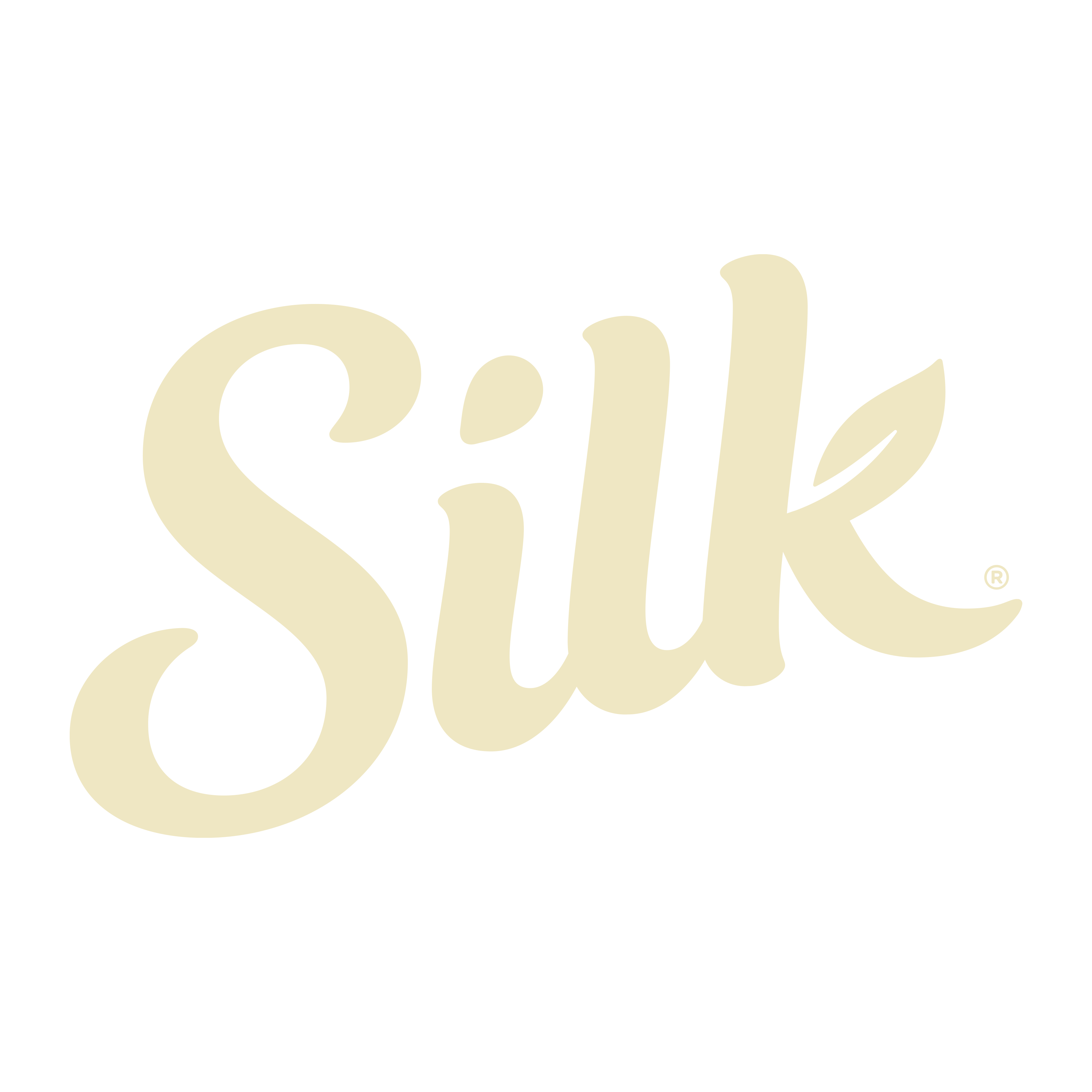 Silk_Logo