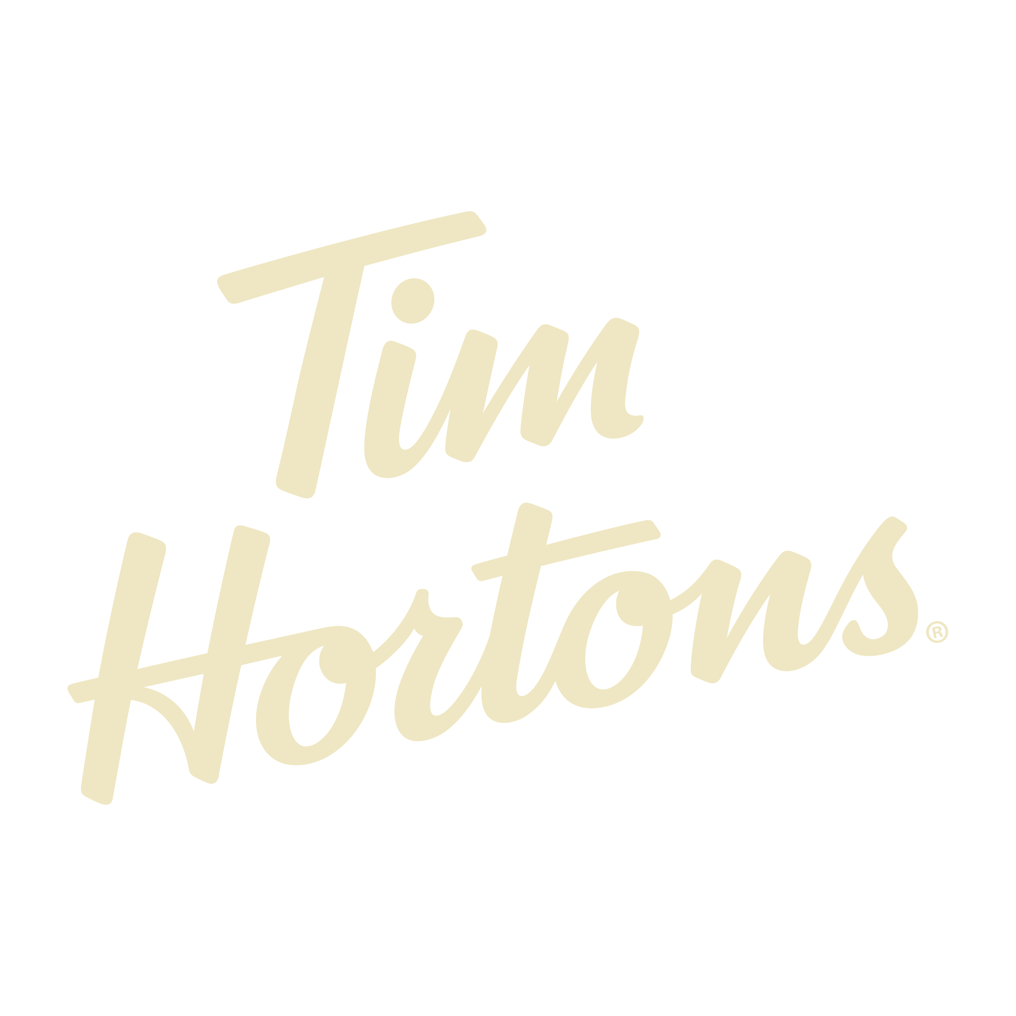 Tim_Hortons_Logo